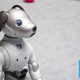 Buck up Aibo. It’s not just you.